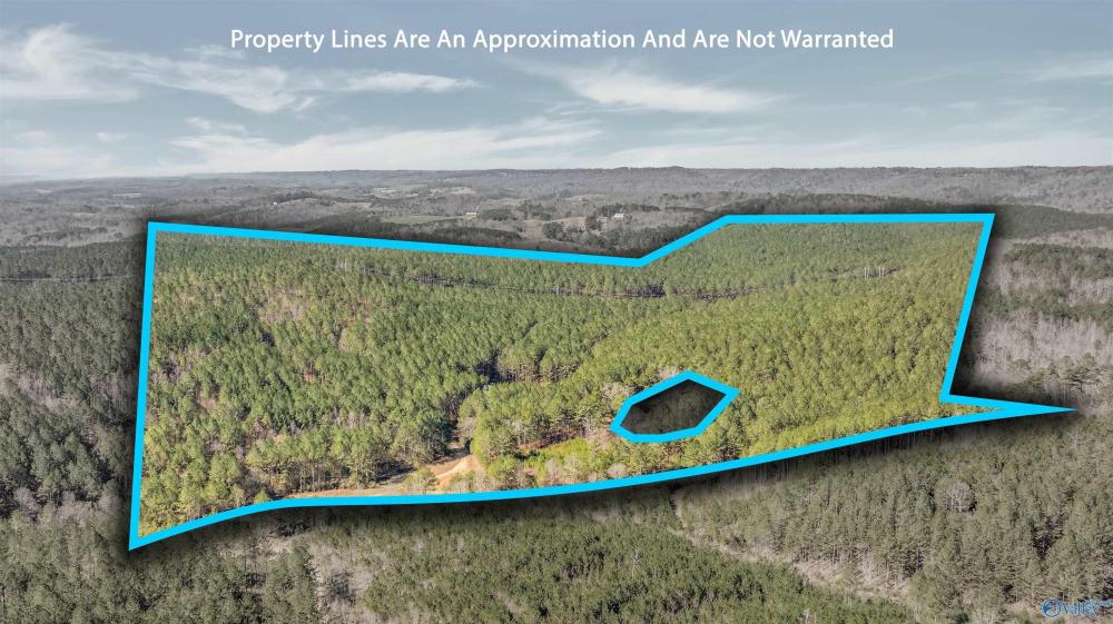 Currently Displayed Property Photo