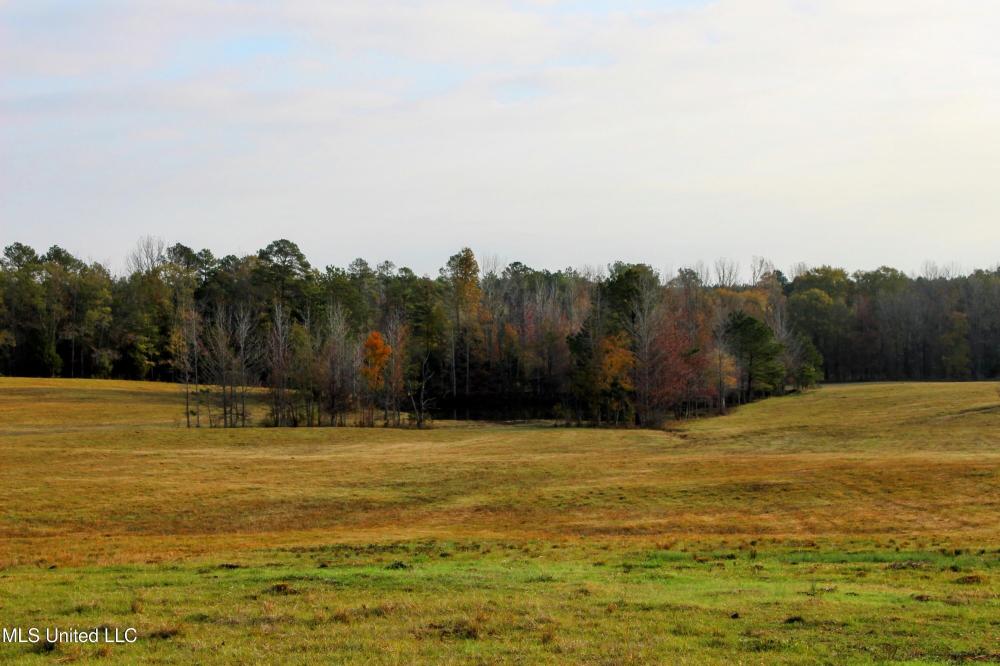 Currently Displayed Property Photo