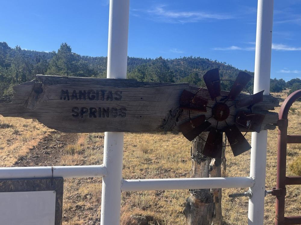 Currently Displayed Property Photo