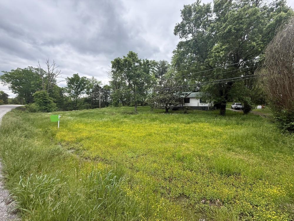 Currently Displayed Property Photo