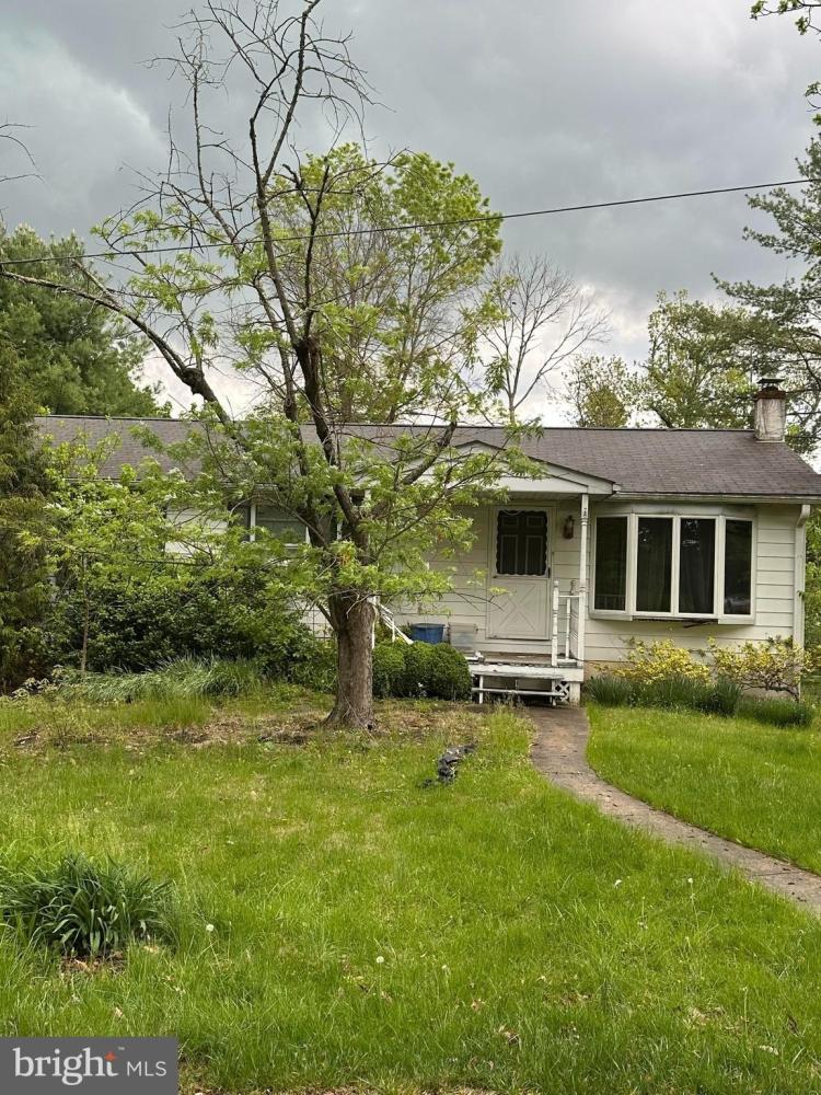 Currently Displayed Property Photo