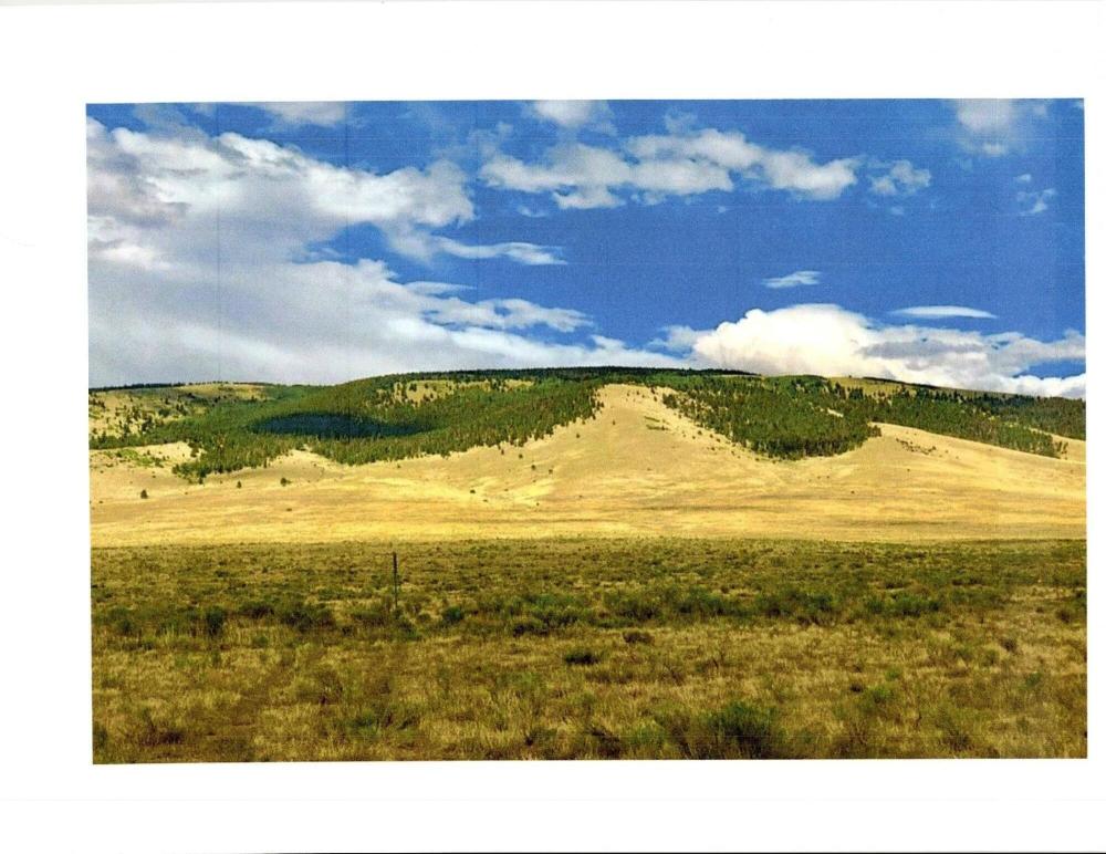 Currently Displayed Property Photo