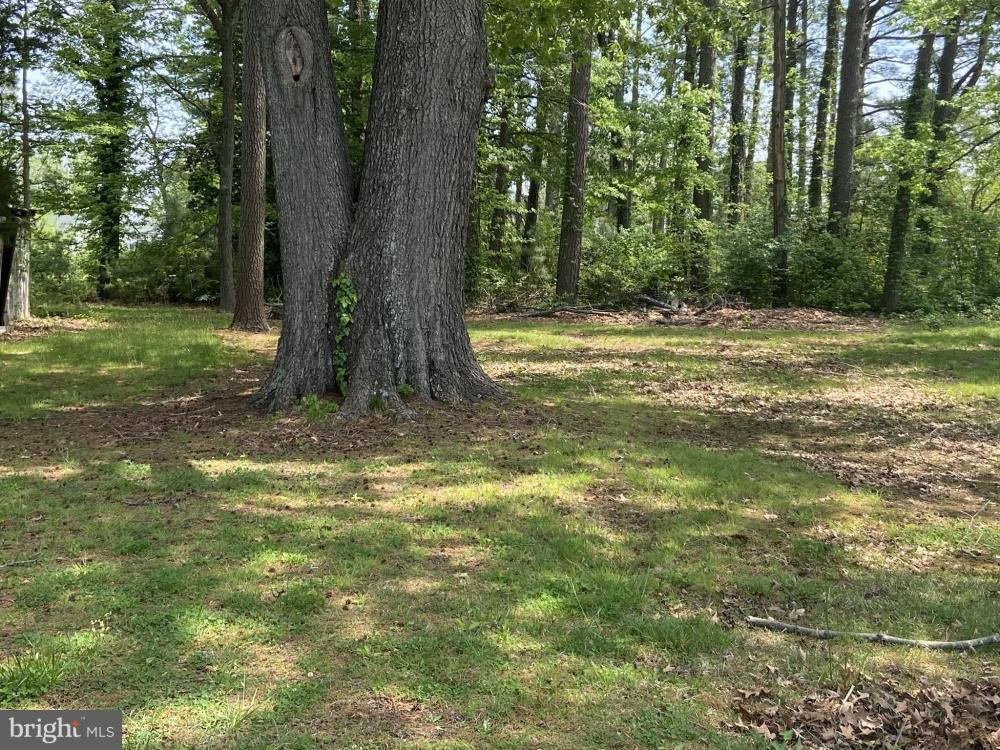 Currently Displayed Property Photo