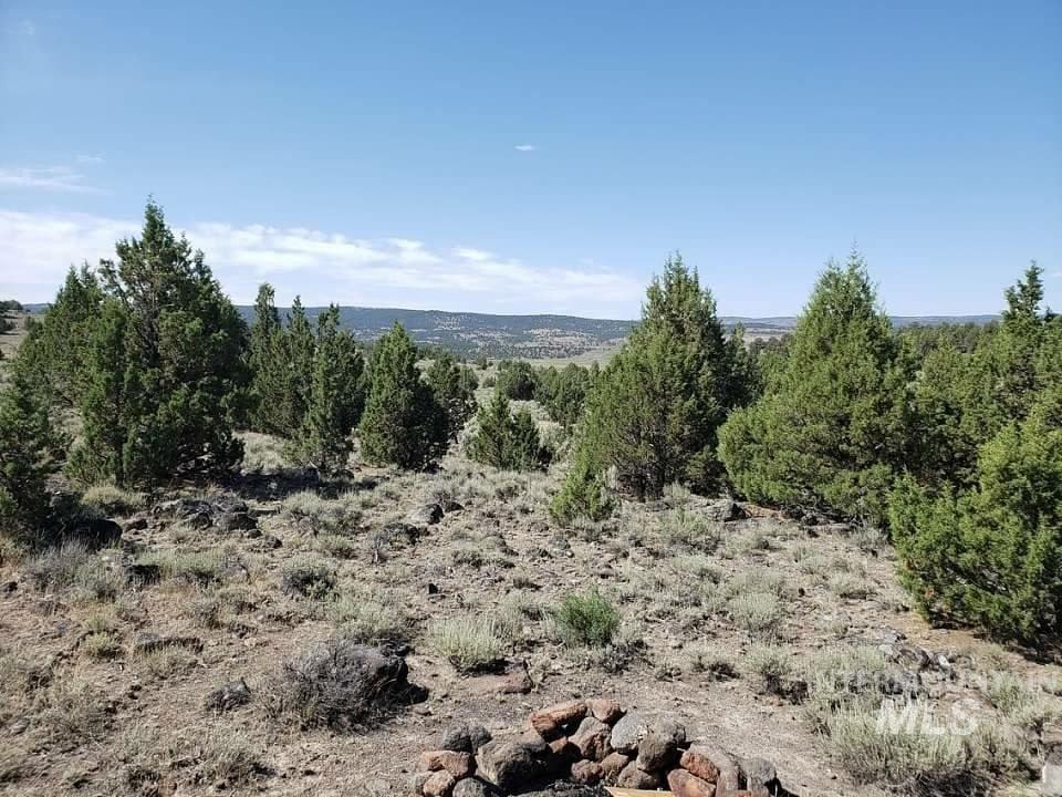 Currently Displayed Property Photo