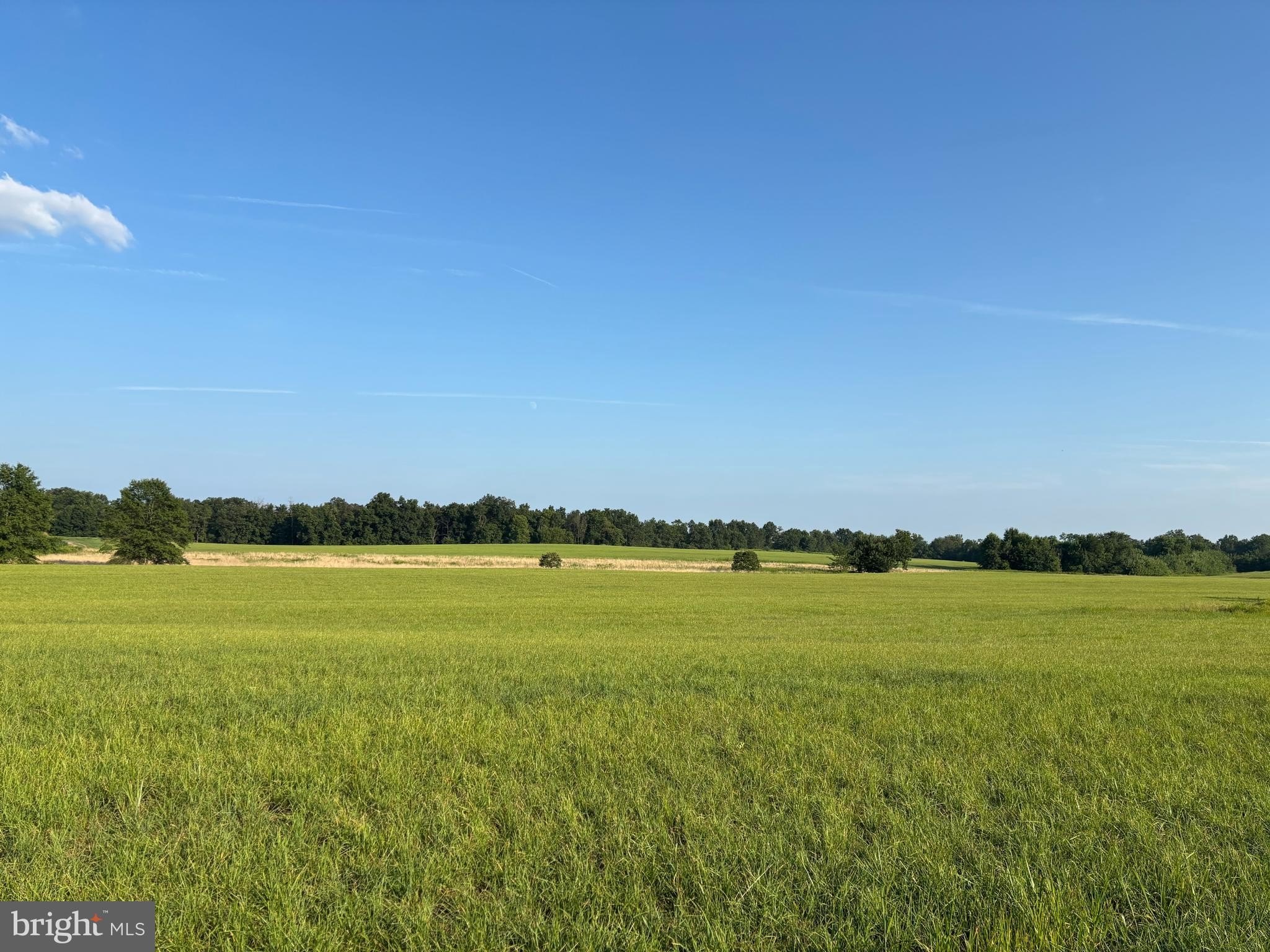 Currently Displayed Property Photo