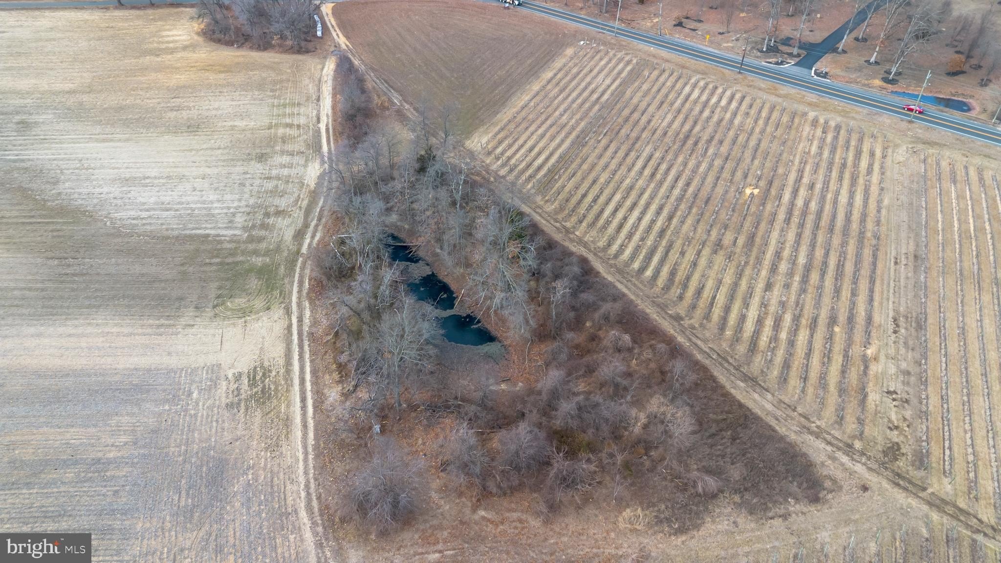 Currently Displayed Property Photo