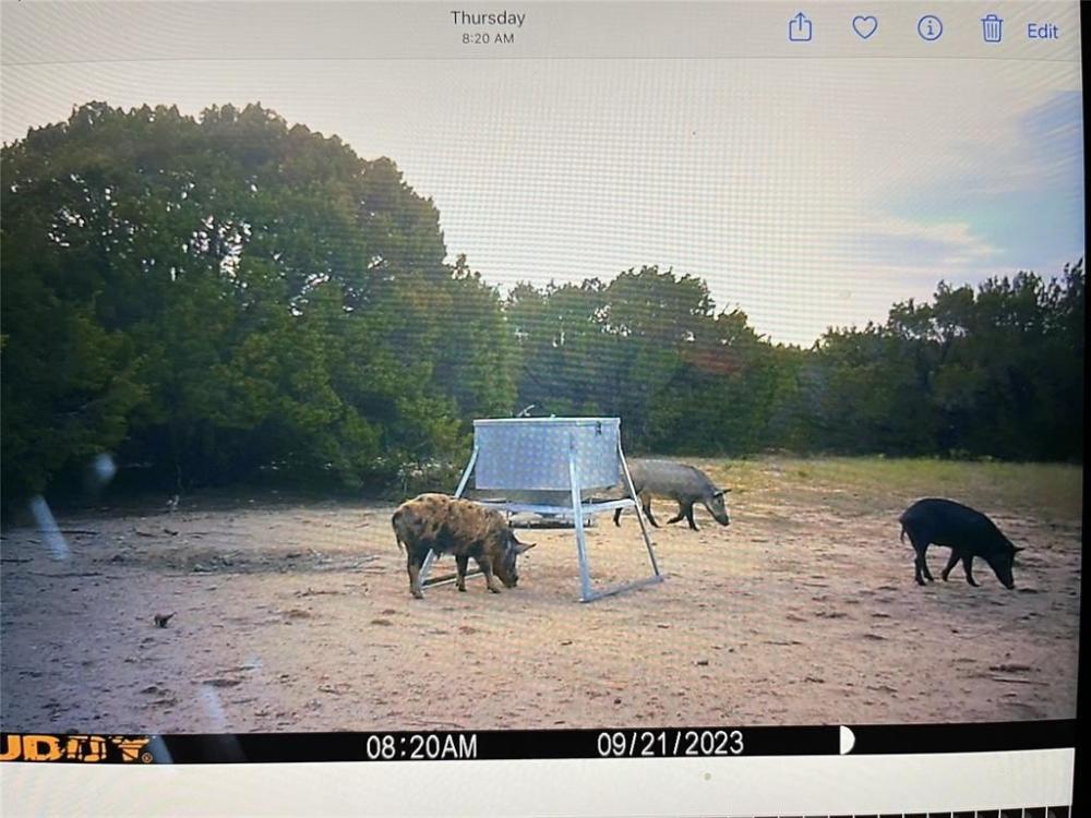 Currently Displayed Property Photo