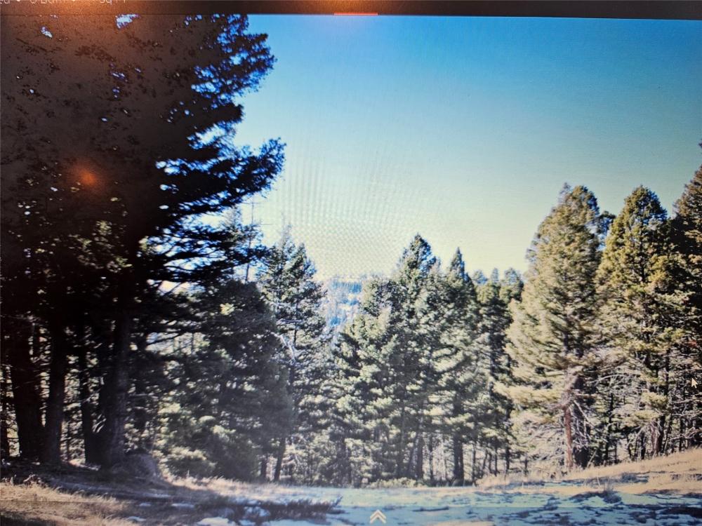 Currently Displayed Property Photo
