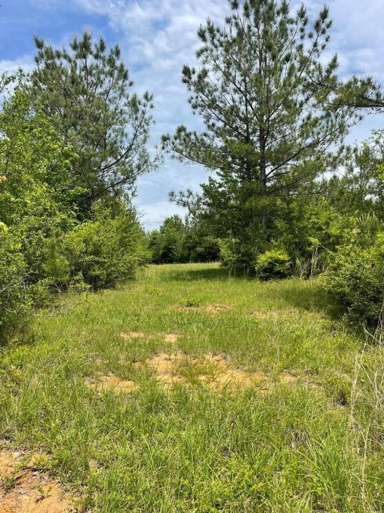 Currently Displayed Property Photo