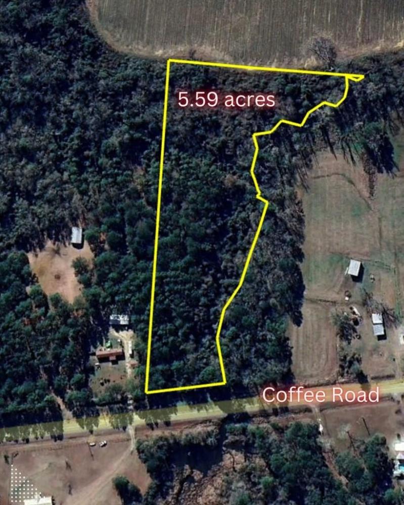 Currently Displayed Property Photo