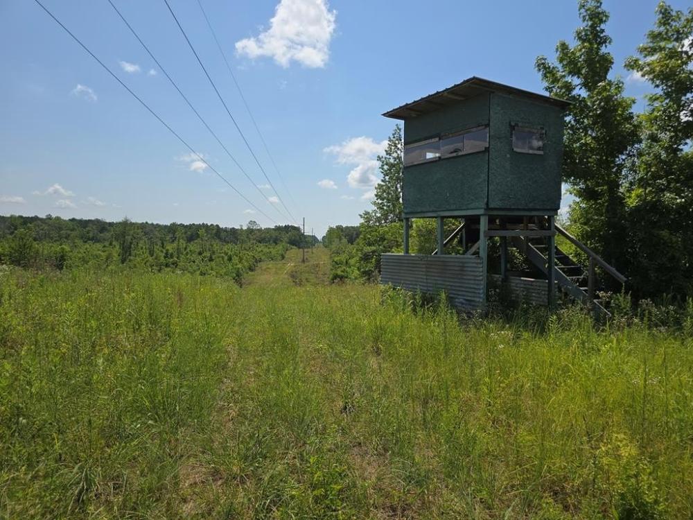 Currently Displayed Property Photo