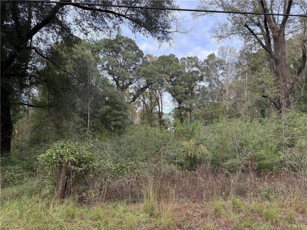 Currently Displayed Property Photo