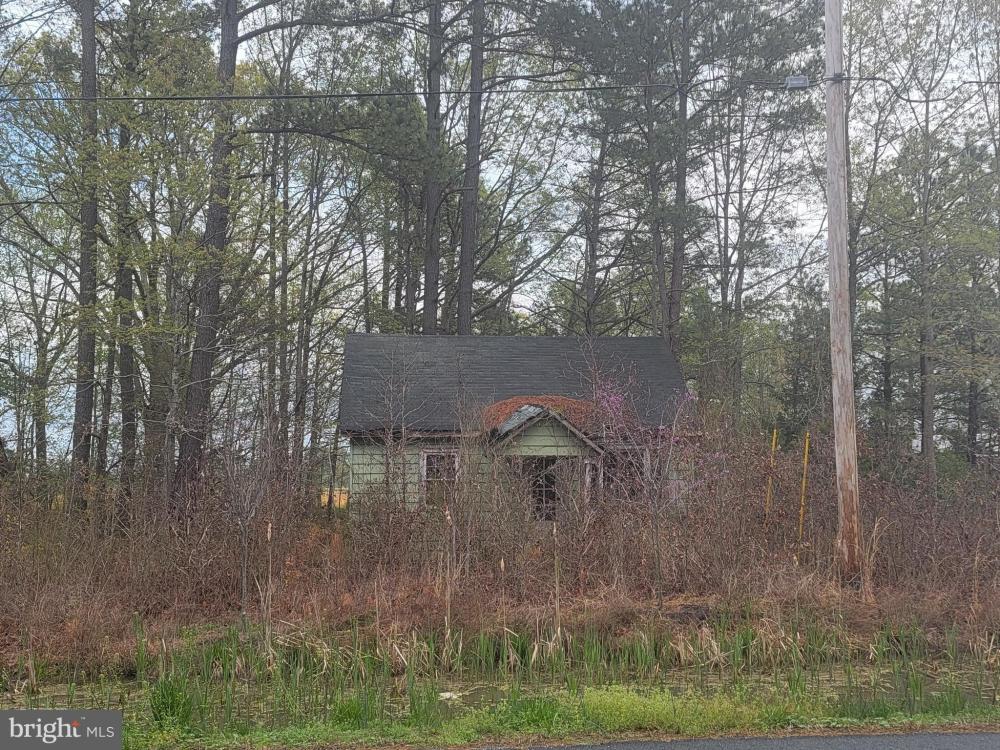 Currently Displayed Property Photo