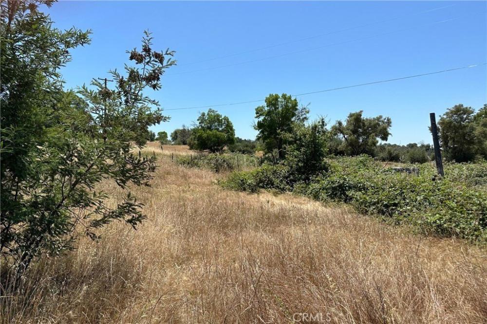 Currently Displayed Property Photo