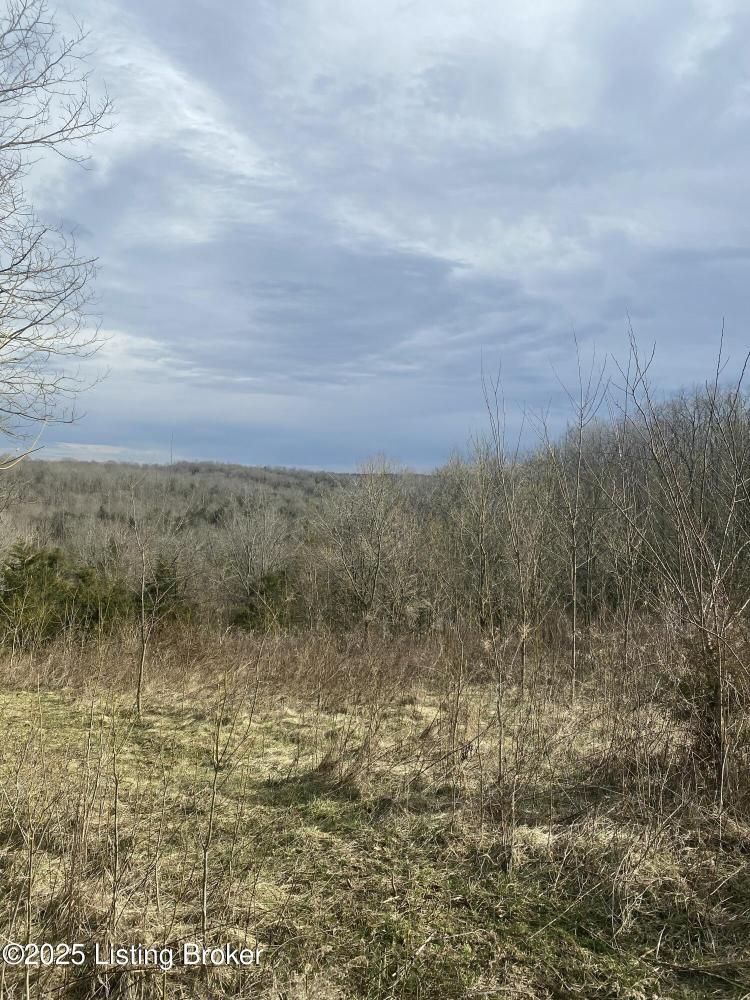 Currently Displayed Property Photo