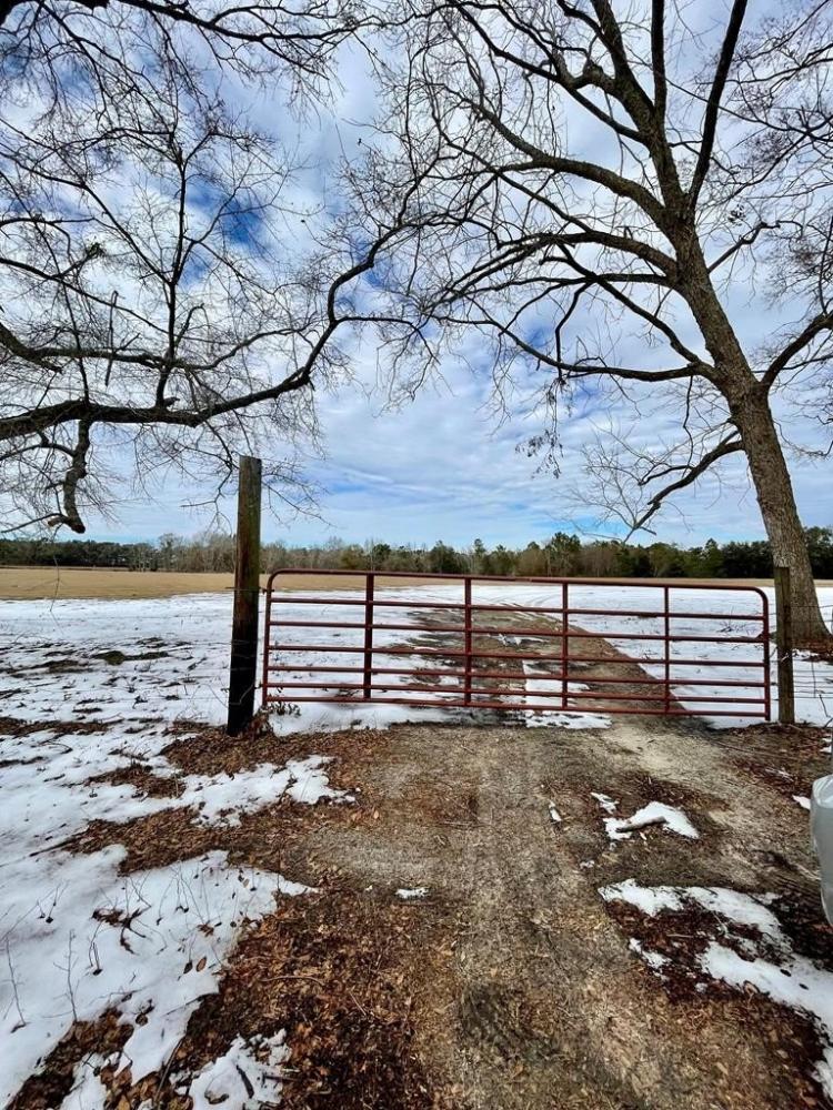 Currently Displayed Property Photo