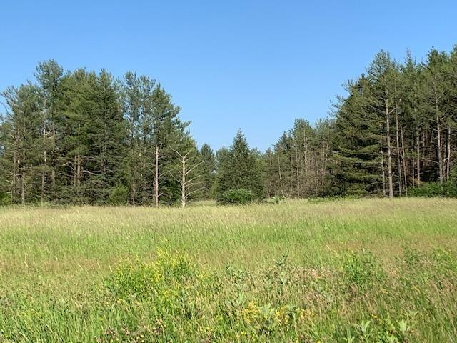 Currently Displayed Property Photo