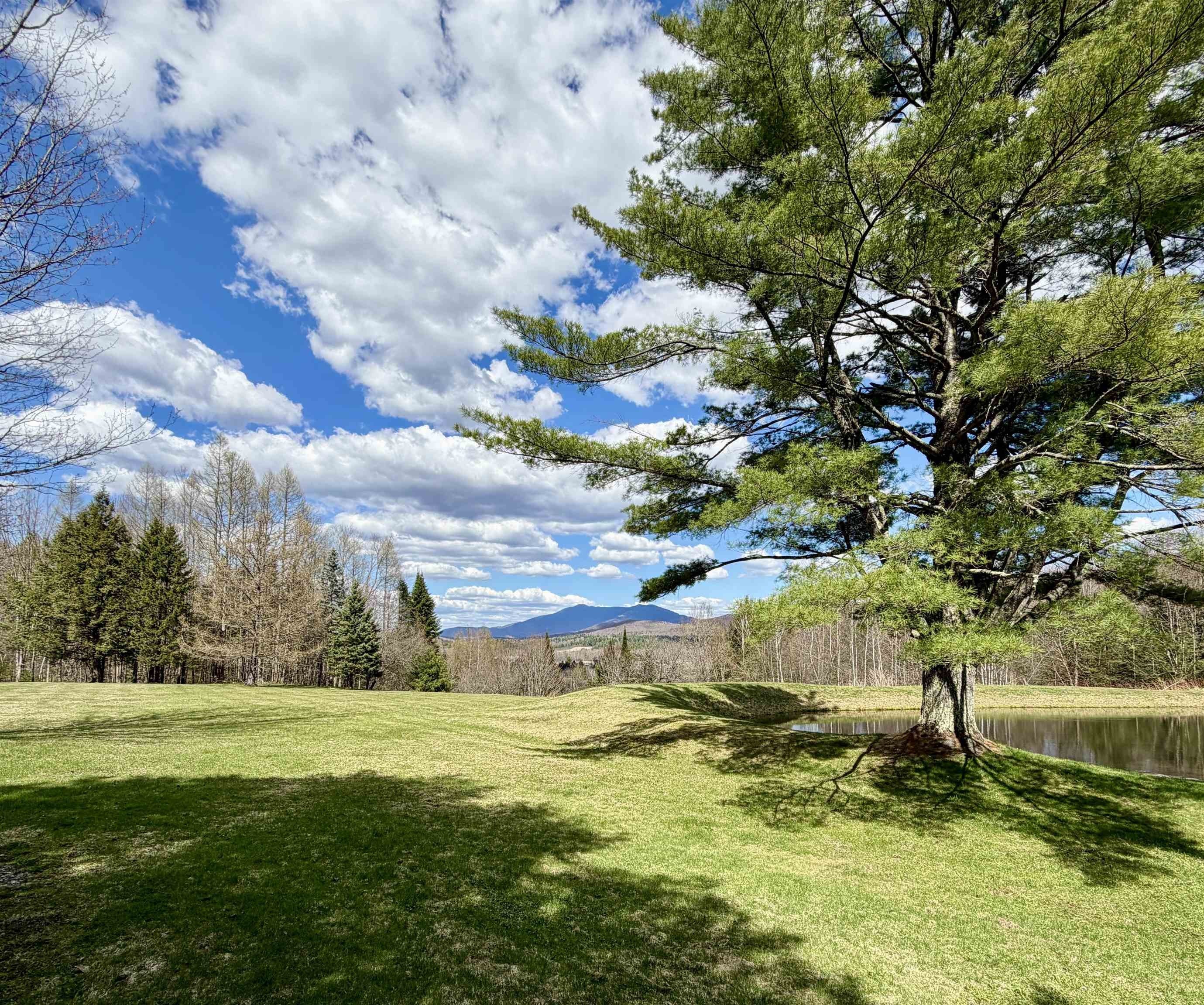 Currently Displayed Property Photo