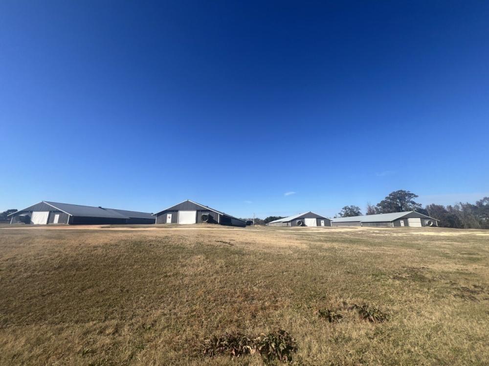 Currently Displayed Property Photo