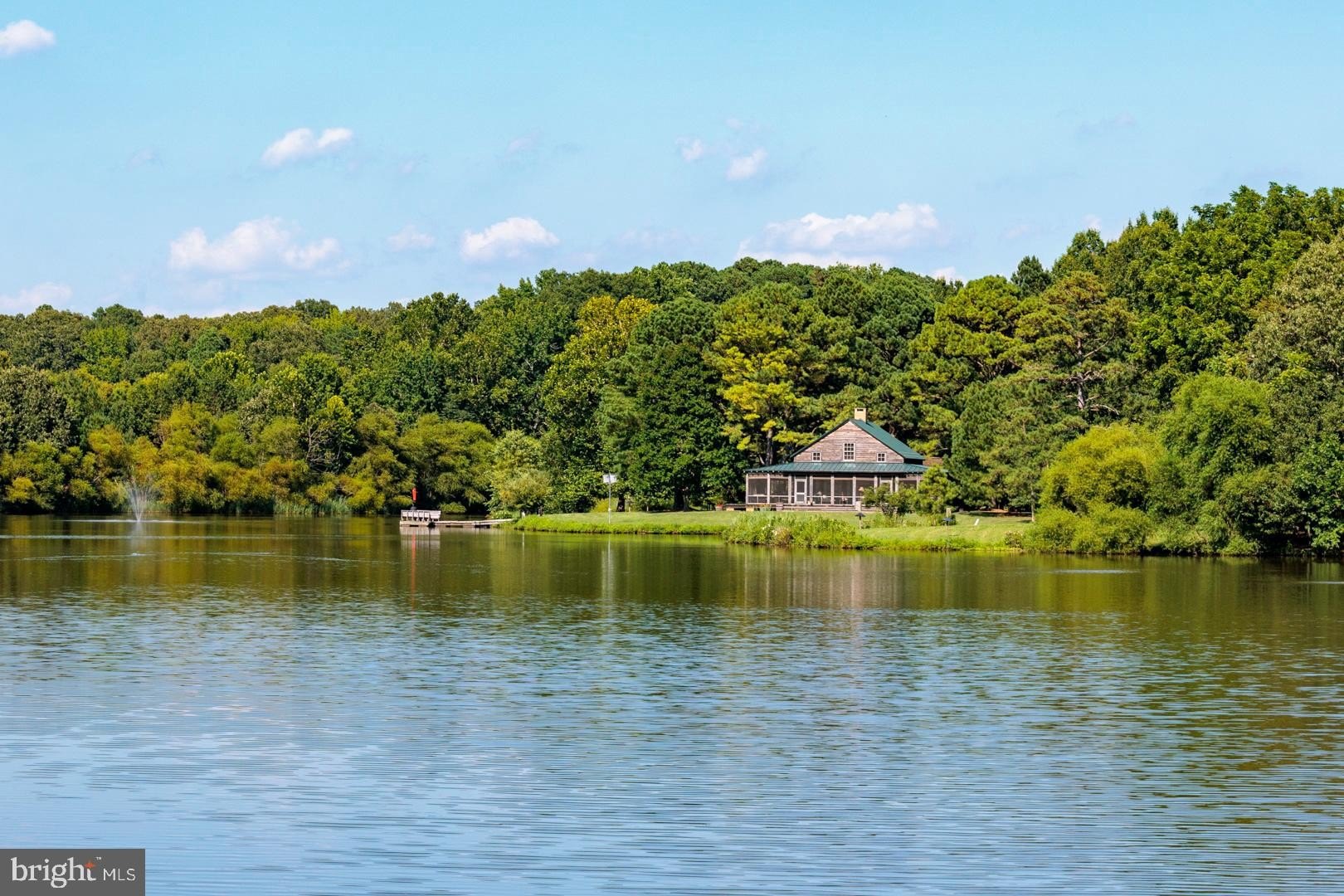 Currently Displayed Property Photo