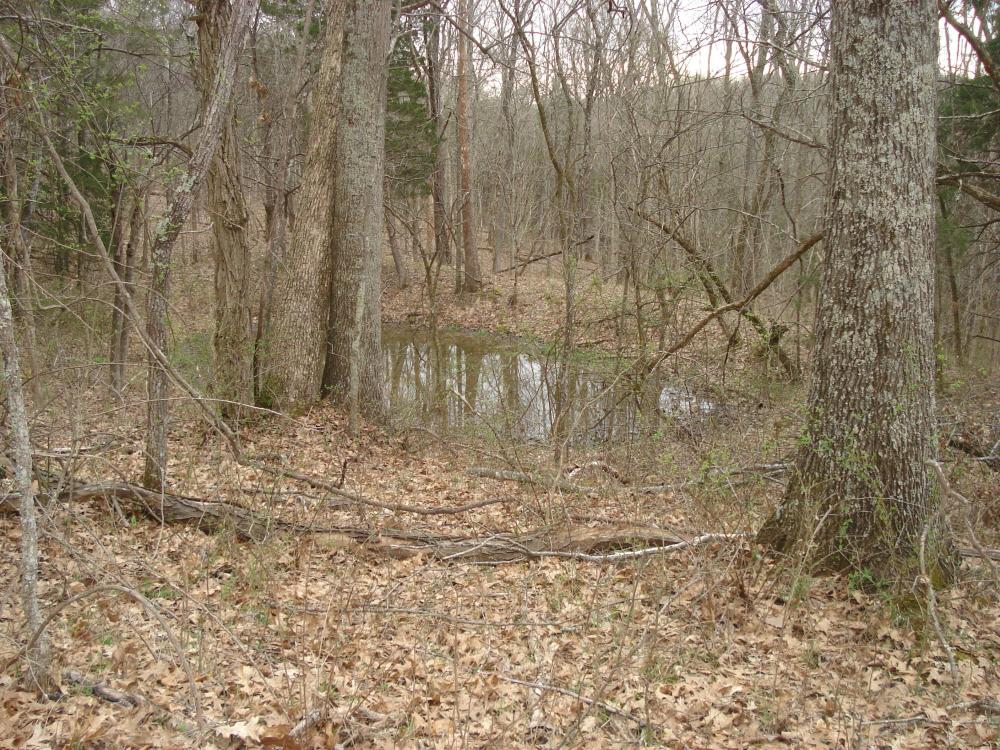 Currently Displayed Property Photo