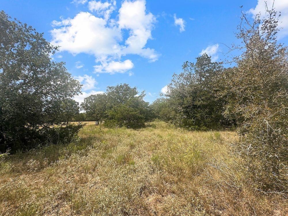 Currently Displayed Property Photo