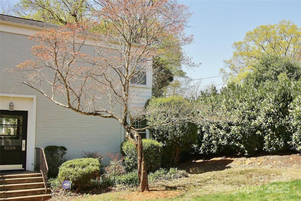 Currently Displayed Property Photo