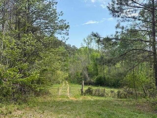 Currently Displayed Property Photo