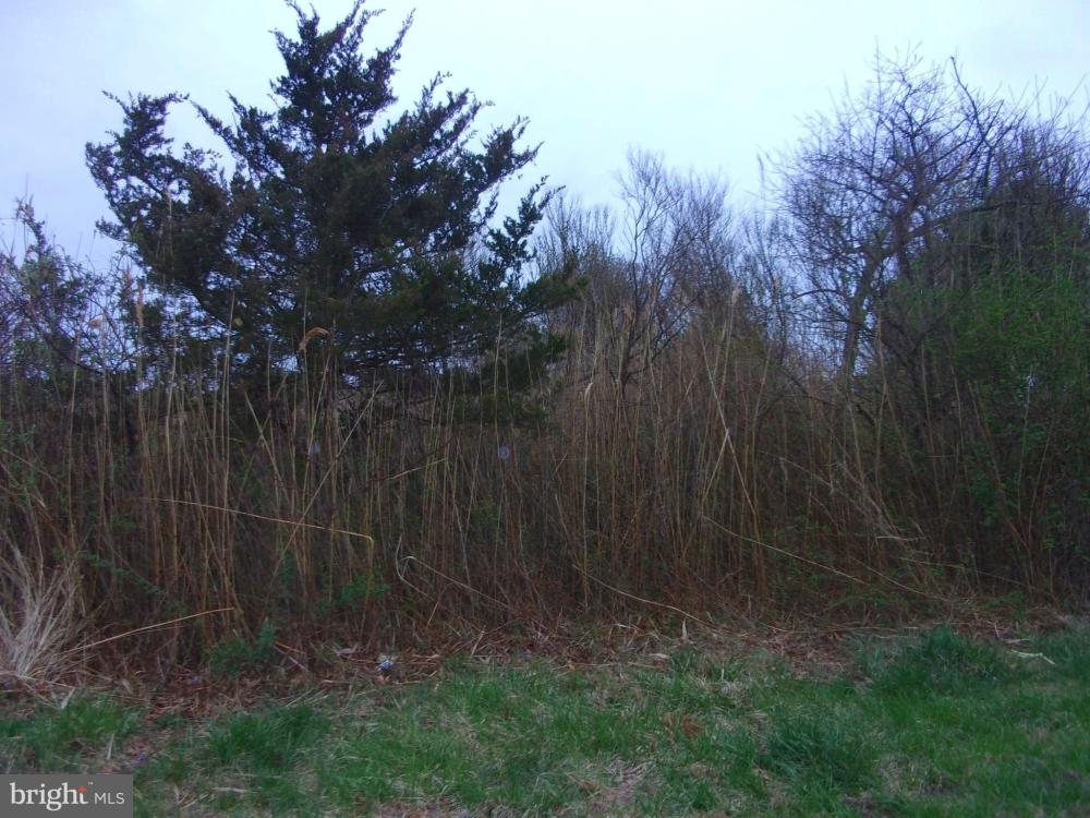 Currently Displayed Property Photo