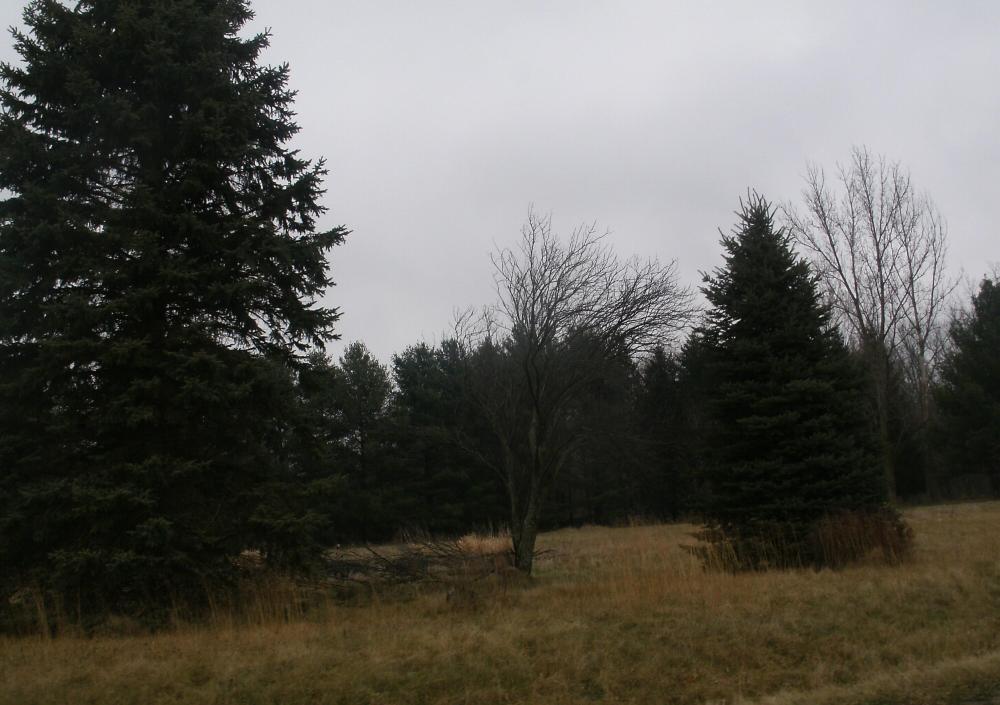 Currently Displayed Property Photo