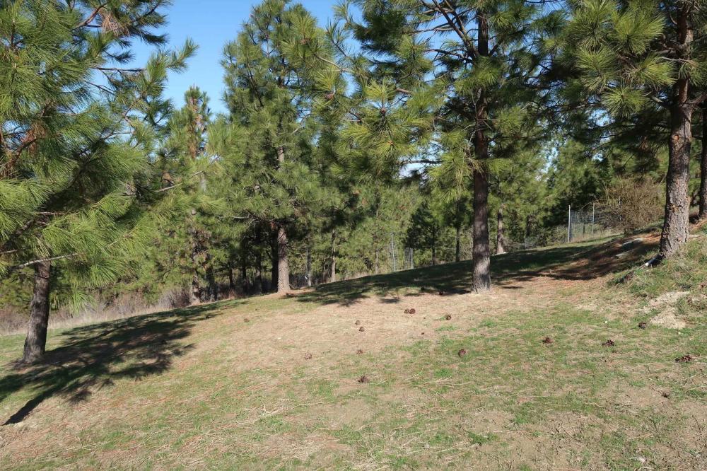 Currently Displayed Property Photo