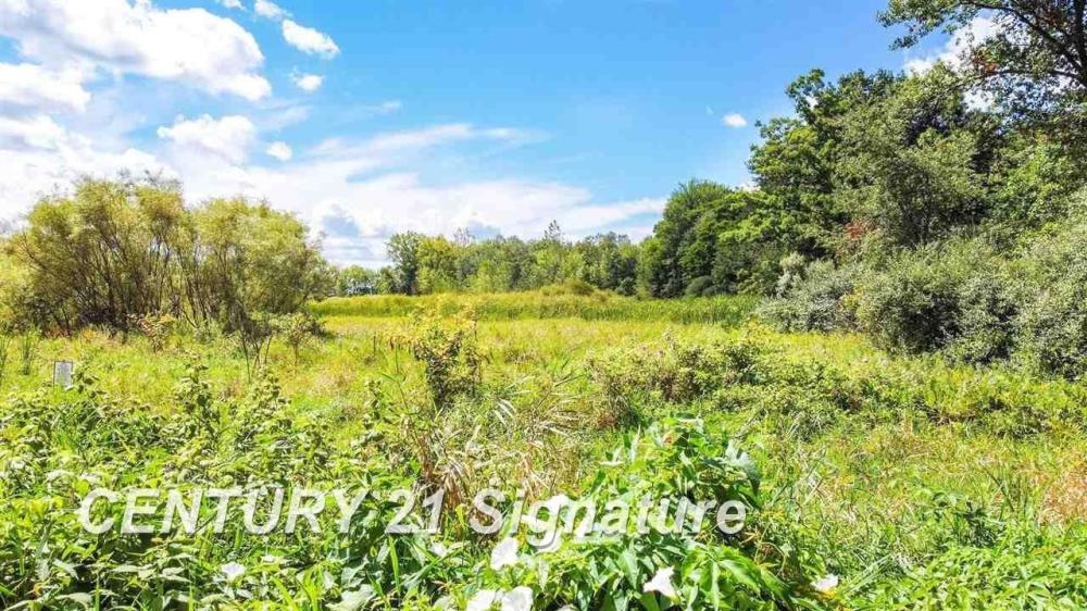 Currently Displayed Property Photo
