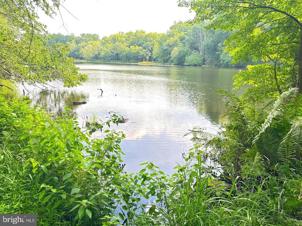 Currently Displayed Property Photo