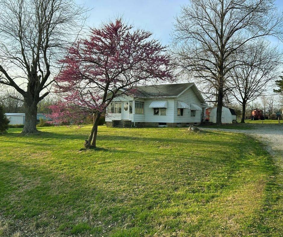 Currently Displayed Property Photo