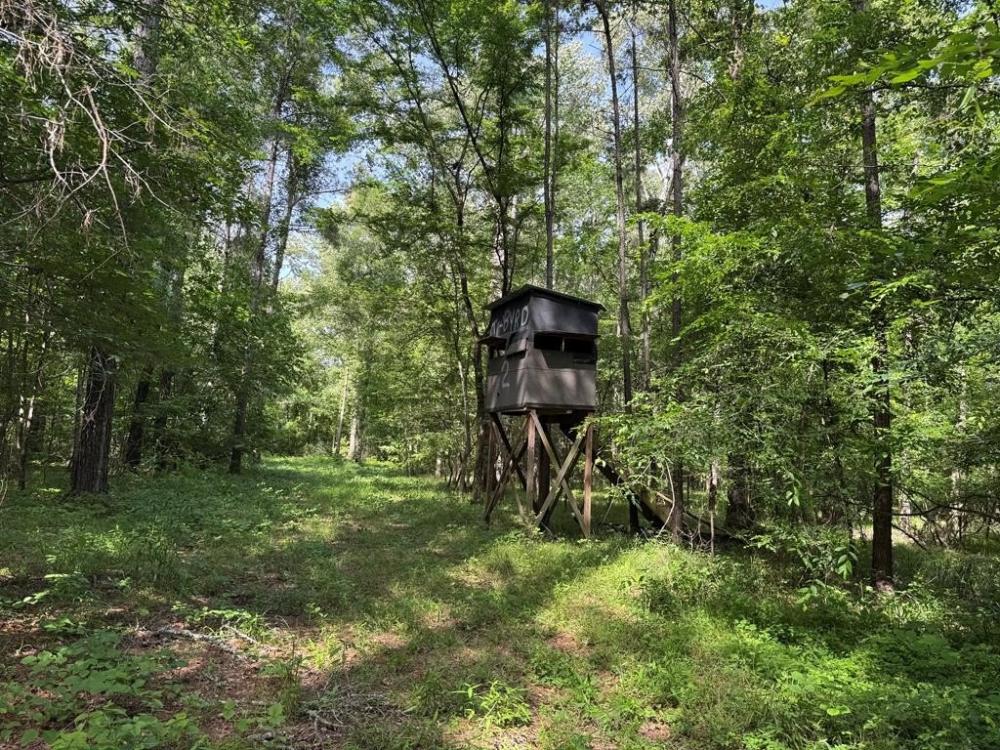 Currently Displayed Property Photo