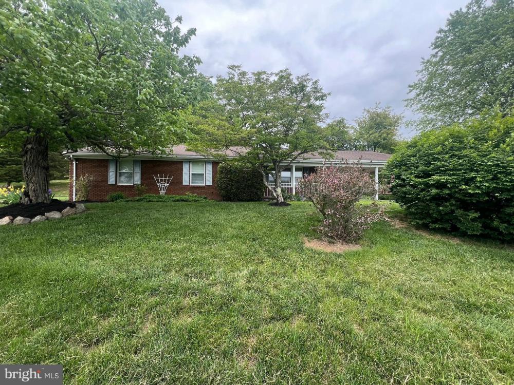 Currently Displayed Property Photo