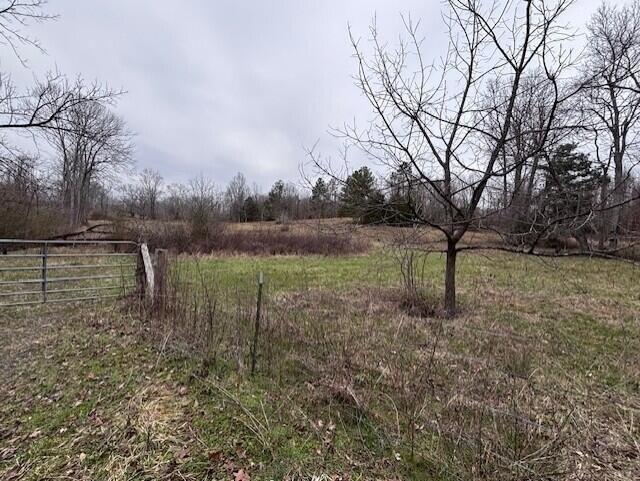 Currently Displayed Property Photo