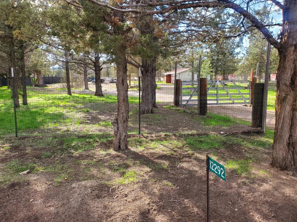 Currently Displayed Property Photo