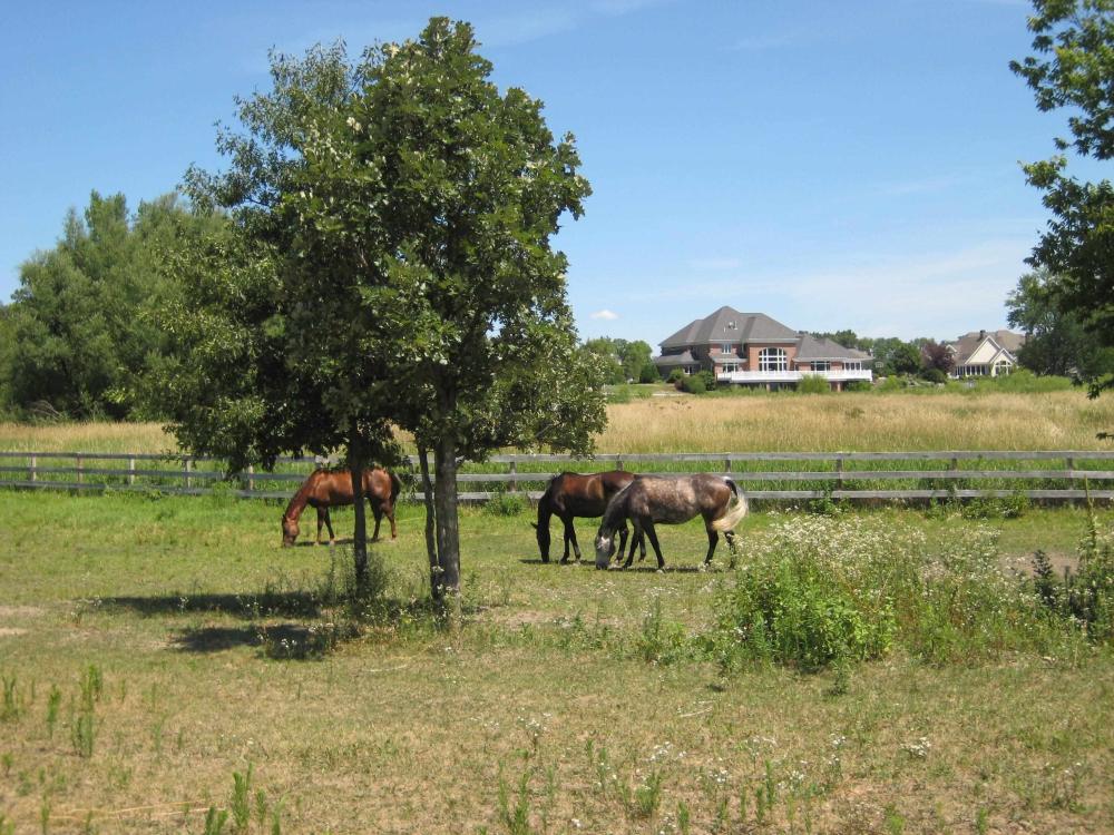 Currently Displayed Property Photo