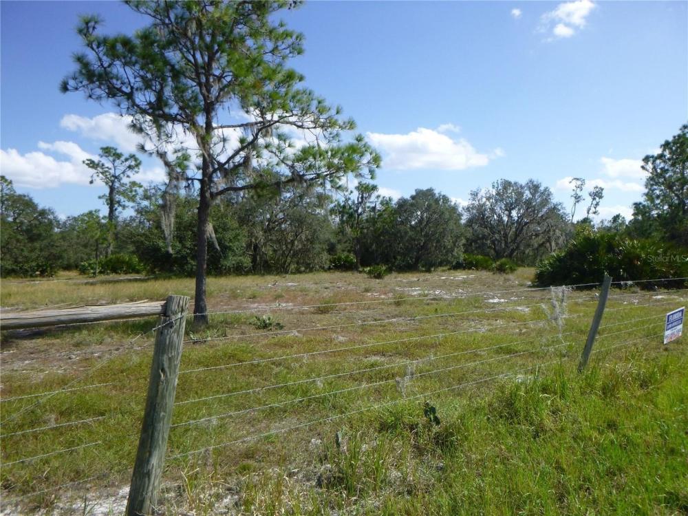 Currently Displayed Property Photo