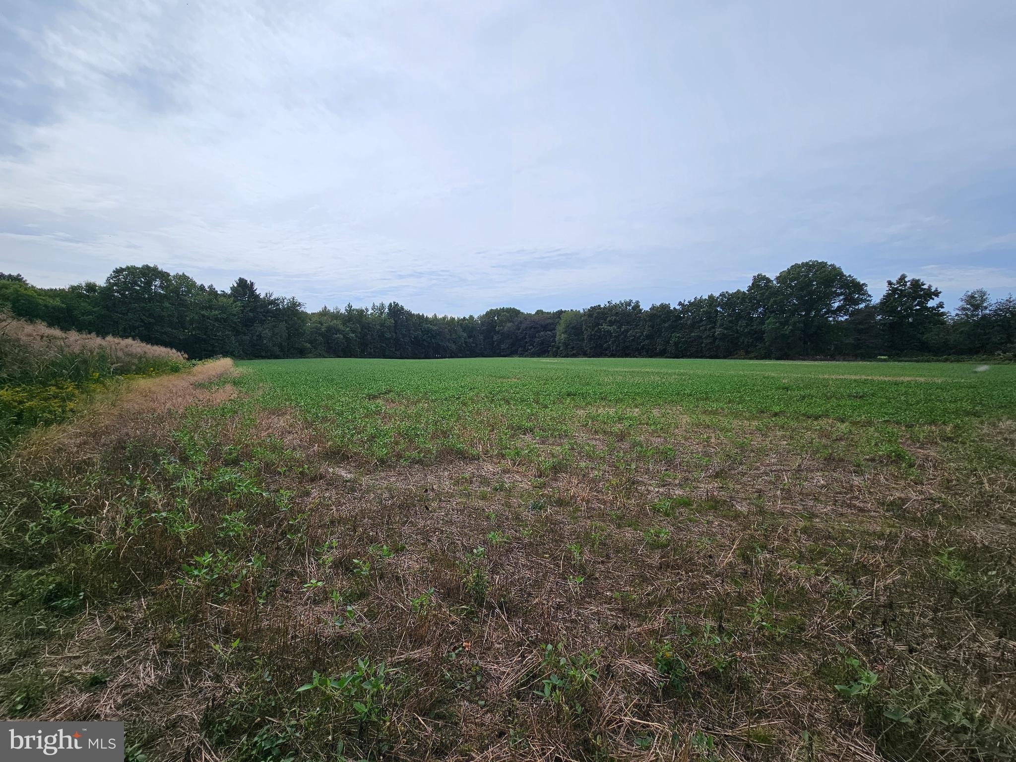 Currently Displayed Property Photo