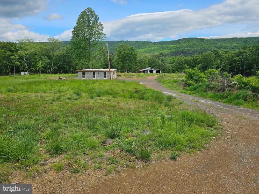 Currently Displayed Property Photo