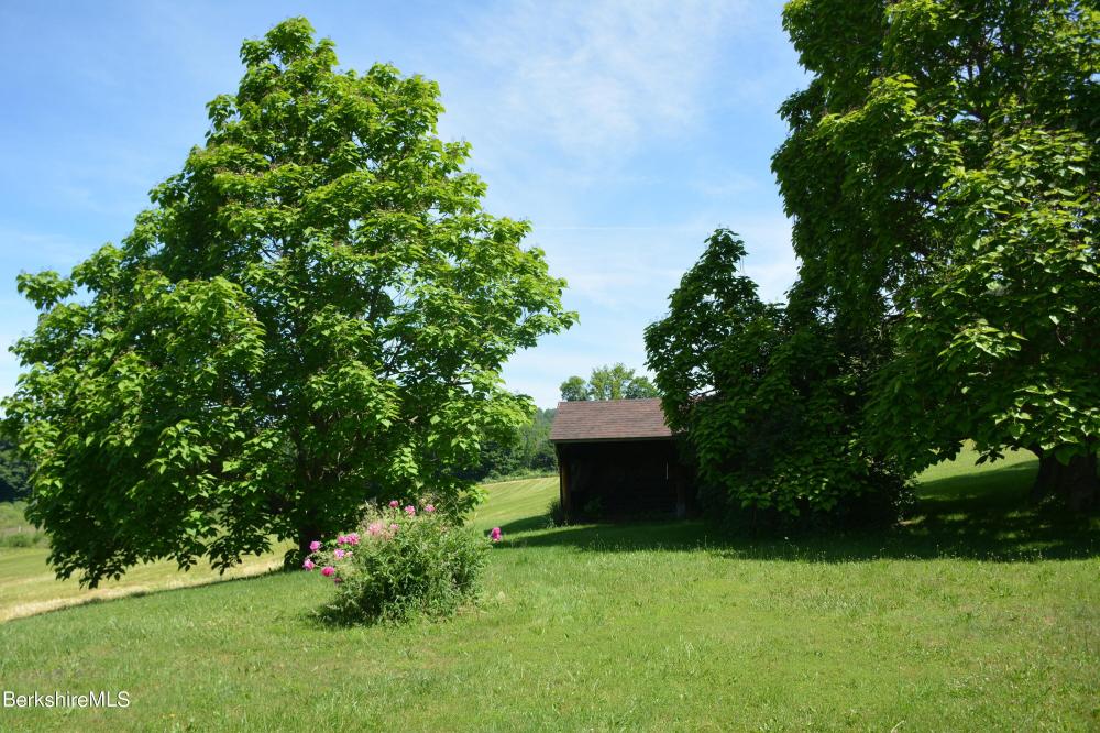 Currently Displayed Property Photo